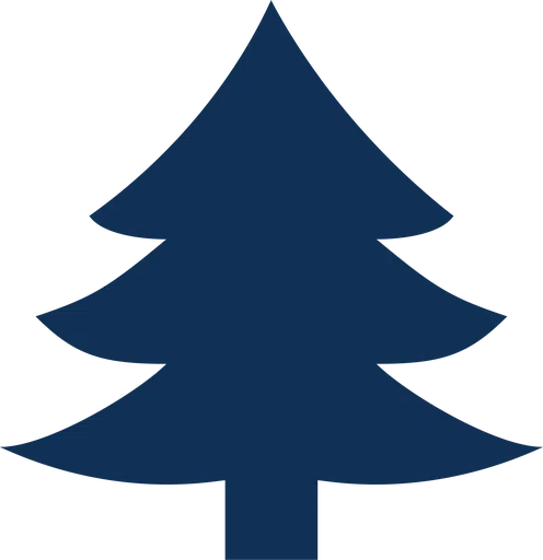 Legal Services for the Elderly Inc logo