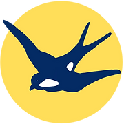 Hirundo Wildlife Trust logo