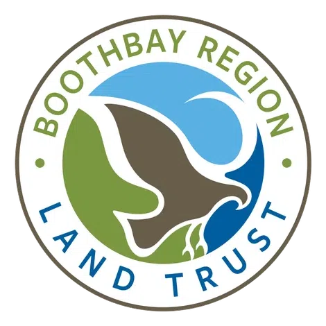 Boothbay Region Land Trust logo