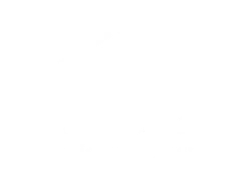 Latina Coalition of Silicon Valley logo