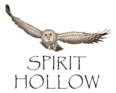 Spirit Hollow logo
