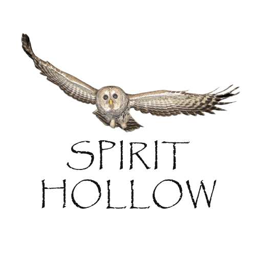 Spirit Hollow logo