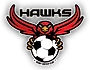 Derry Soccer Club logo