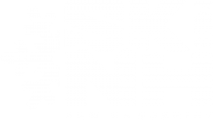 Ski New Hampshire Inc logo