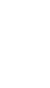 Vermont Symphony Orchestra logo