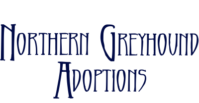Northern Greyhound Adoptions Inc logo