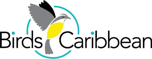 Birdscaribbean logo