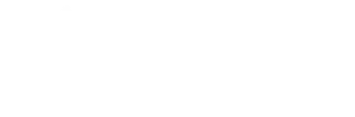 Freedom for Youth Ministries logo