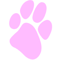 National Canine Cancer Foundation Inc logo