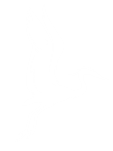 Manchester Country Club Inc logo
