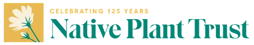 Native Plant Trust Inc logo