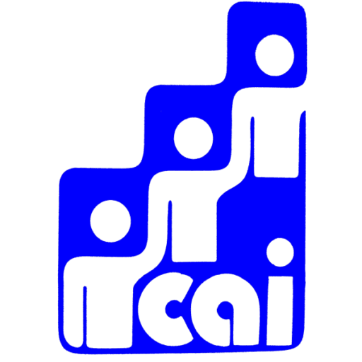 Community Action Inc logo