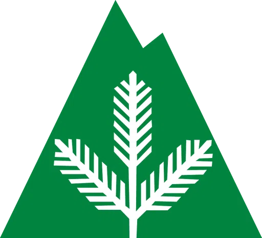 Berkshire Health Systems Inc logo