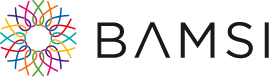 Brockton Area Multi-Services Inc logo