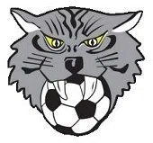 Wilmington Youth Soccer Association Inc logo
