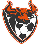 Woburn Youth Soccer Association Inc logo