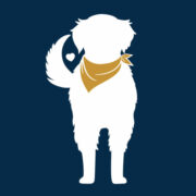 Yankee Golden Retriever Rescue Inc logo