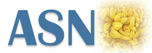 Alzheimers Support Network of South Central Massachusetts Inc logo