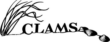 Cape Libraries Automated Materials logo
