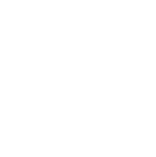 Harvard World Model United Nations logo