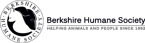 Berkshire Humane Society Inc logo