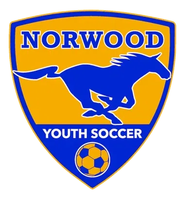 Norwood Youth Soccer Inc logo