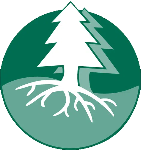 Cooperative Development Institute logo