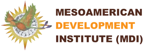Mesoamerican Development Institute Corporation logo