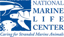 National Marine Life Center Inc logo