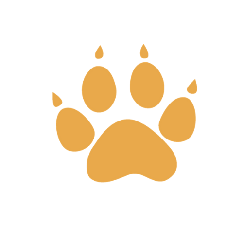 Sunita L Williams Elementary School Parent Teacher Council logo