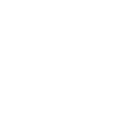 Massachusetts National Organization for Women Foundation Inc logo