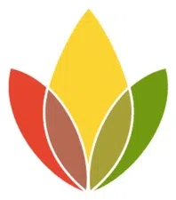 James D Stclair Court Public Education Project Boston Bar Fund logo