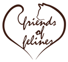 Friends of Felines Inc logo