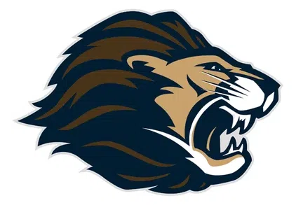 Newmark High School Inc logo