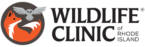 Wildlife Rehabilitators Association of Rhode Island logo