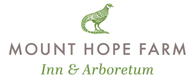 Mount Hope Trust in Bristol logo