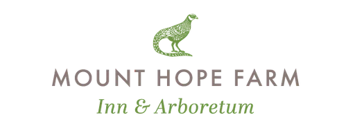 Mount Hope Trust in Bristol logo