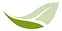 Wellmore Inc logo