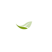 Wellmore Inc logo