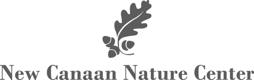 New Canaan Nature Center Association Inc logo