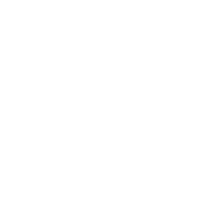 Connecticut Academy of Science and Engineering Incorporated logo