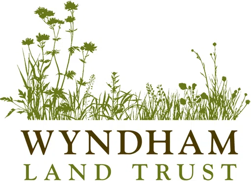WYNDHAM Land Trust Inc logo