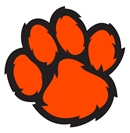Ridgefield Youth Football Inc logo