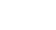 Israel Air Force Center Foundation Inc logo