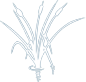 Weekapaug Golf Club logo