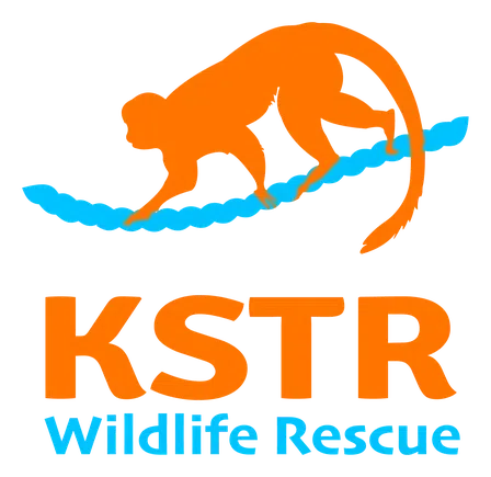 Kids Saving the Rainforest Inc logo