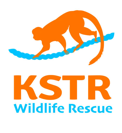 Kids Saving the Rainforest Inc logo