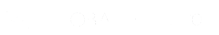Global Infusion Inc logo
