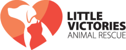 Little Victories Animal Rescue Group logo