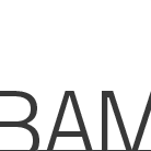 Brooklyn Academy of Music Inc logo
